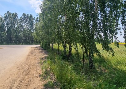 działka na sprzedaż - Radzanowo, Stare Boryszewo