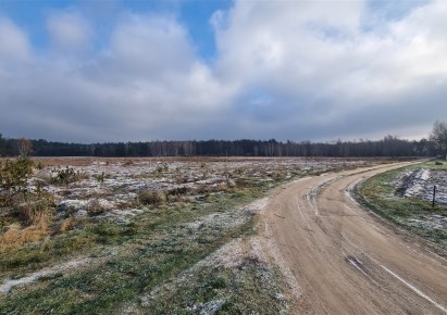 działka na sprzedaż - Słubice, Grzybów