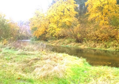 działka na sprzedaż - Brudzeń Duży, Parzeń