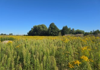 działka na sprzedaż - Płock, Podolszyce