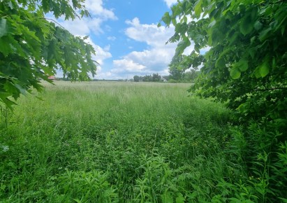 działka na sprzedaż - Bodzanów, Białobrzegi