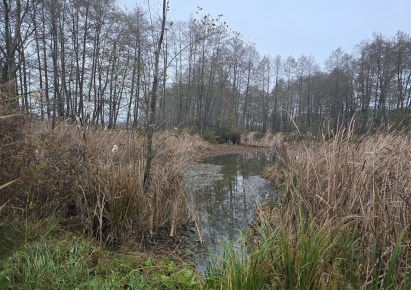 działka na sprzedaż - Gostynin (gw), Strzałki