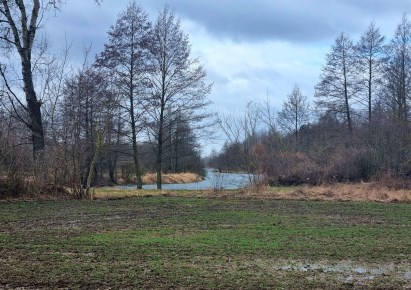 działka na sprzedaż - Bodzanów, Białobrzegi